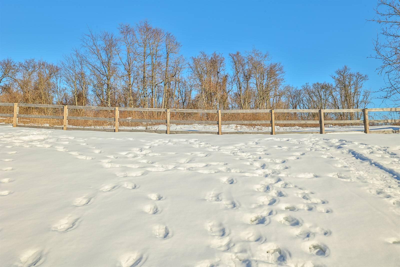 10687 Blooming Court