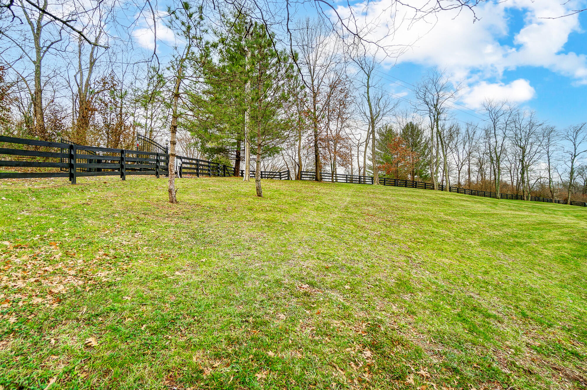 3500 Green Road