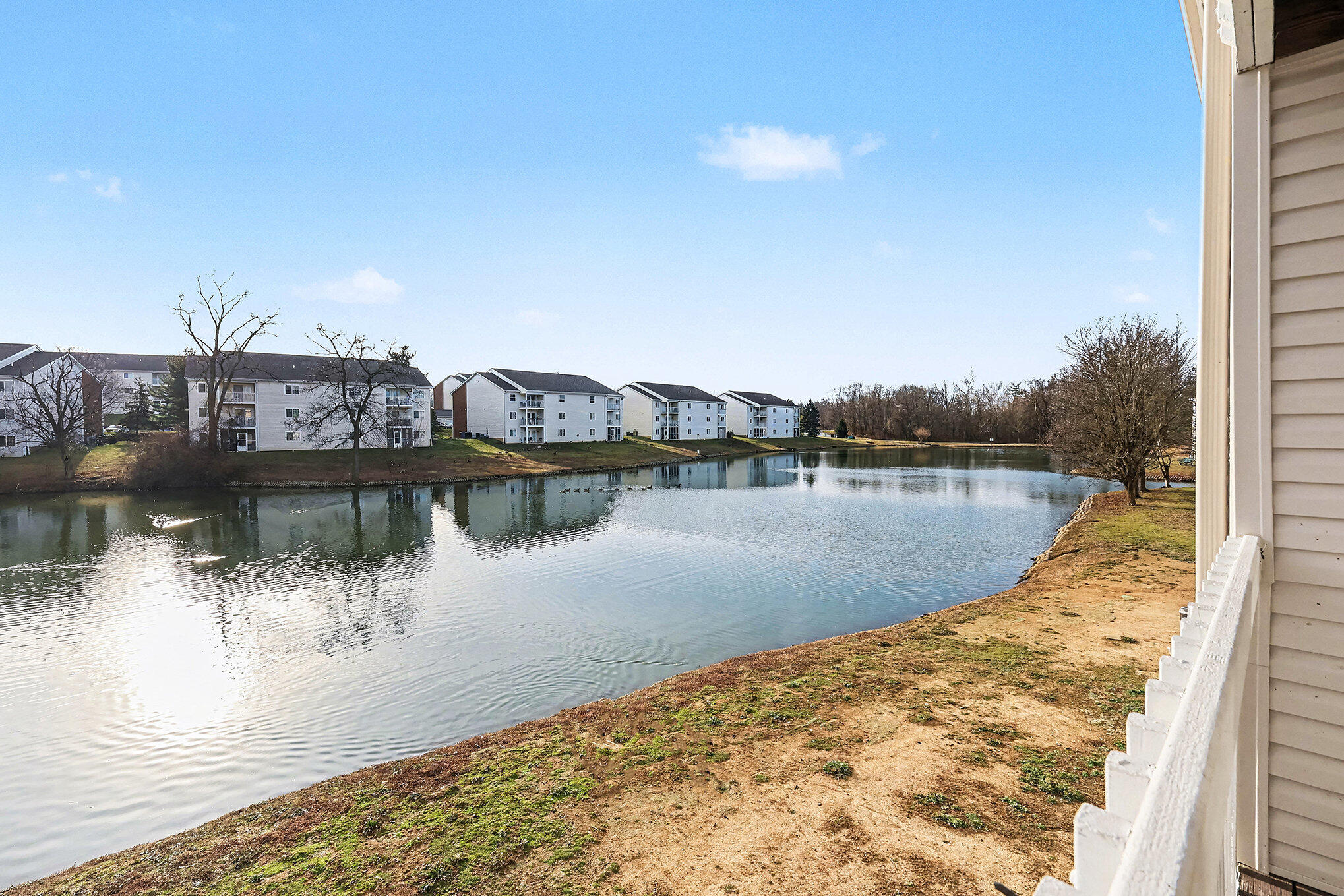 10124 Carnation Court, 7