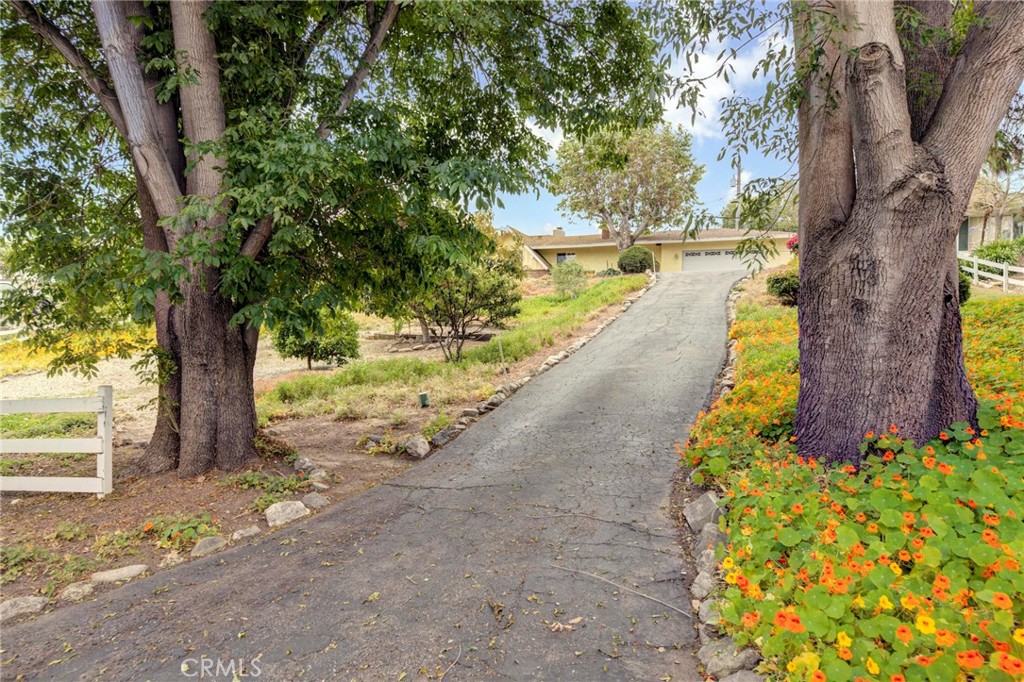8 Silver Saddle Lane