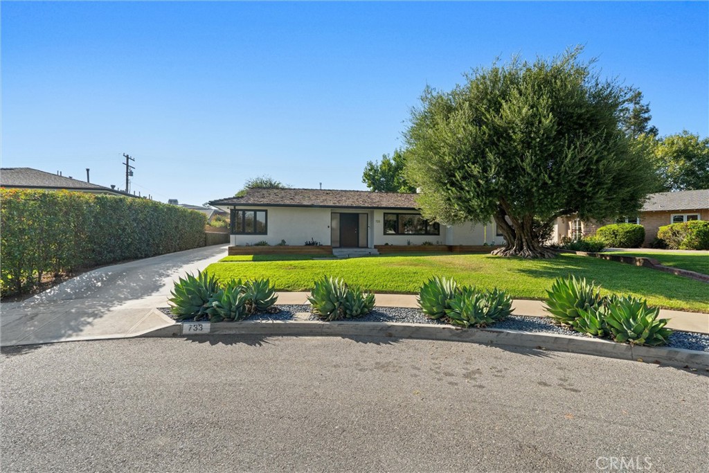 733 Hunter Drive