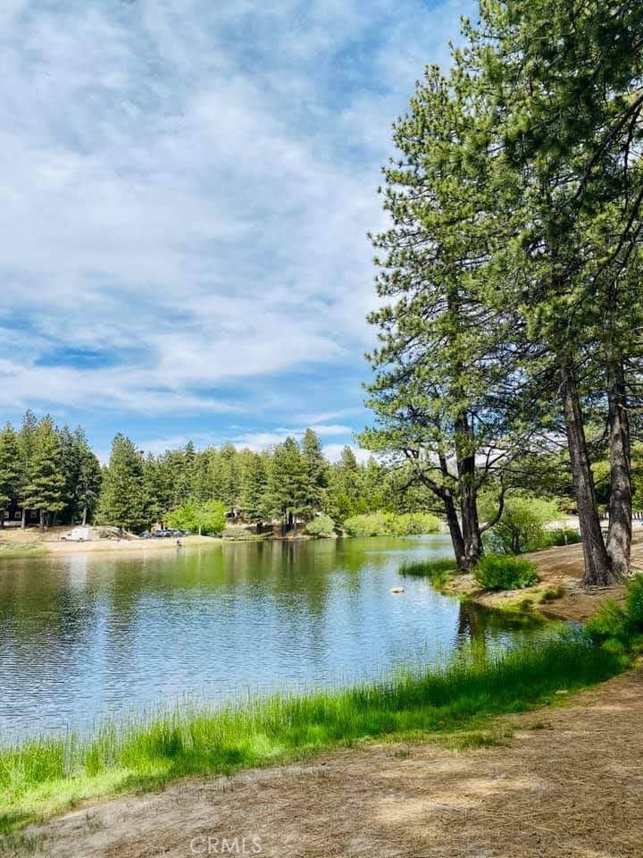 33201 Lakeside Drive