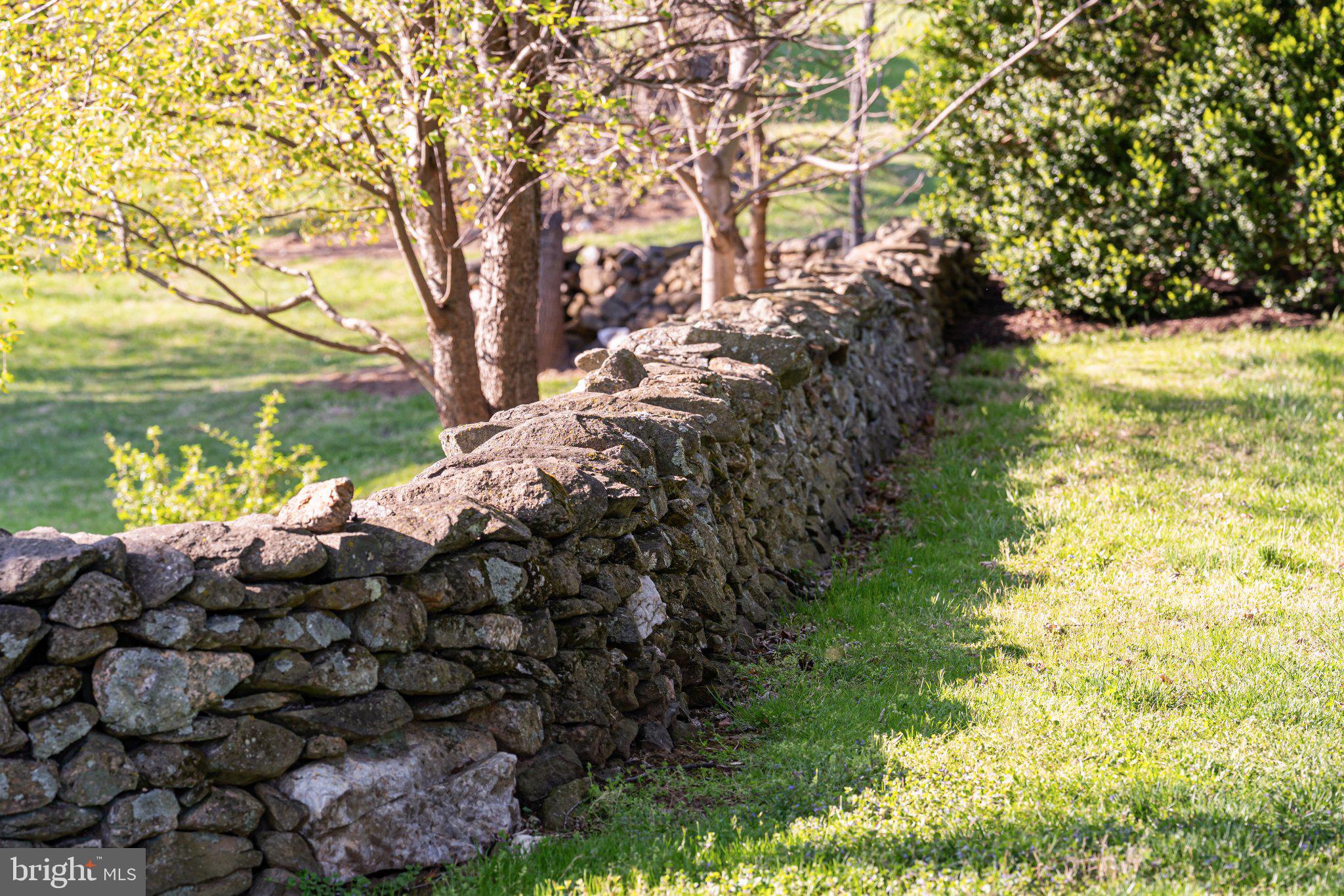 12087 MOSS HOLLOW ROAD