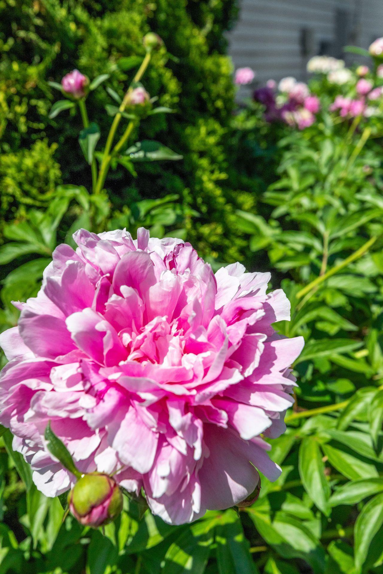 12812 46th Circle NE