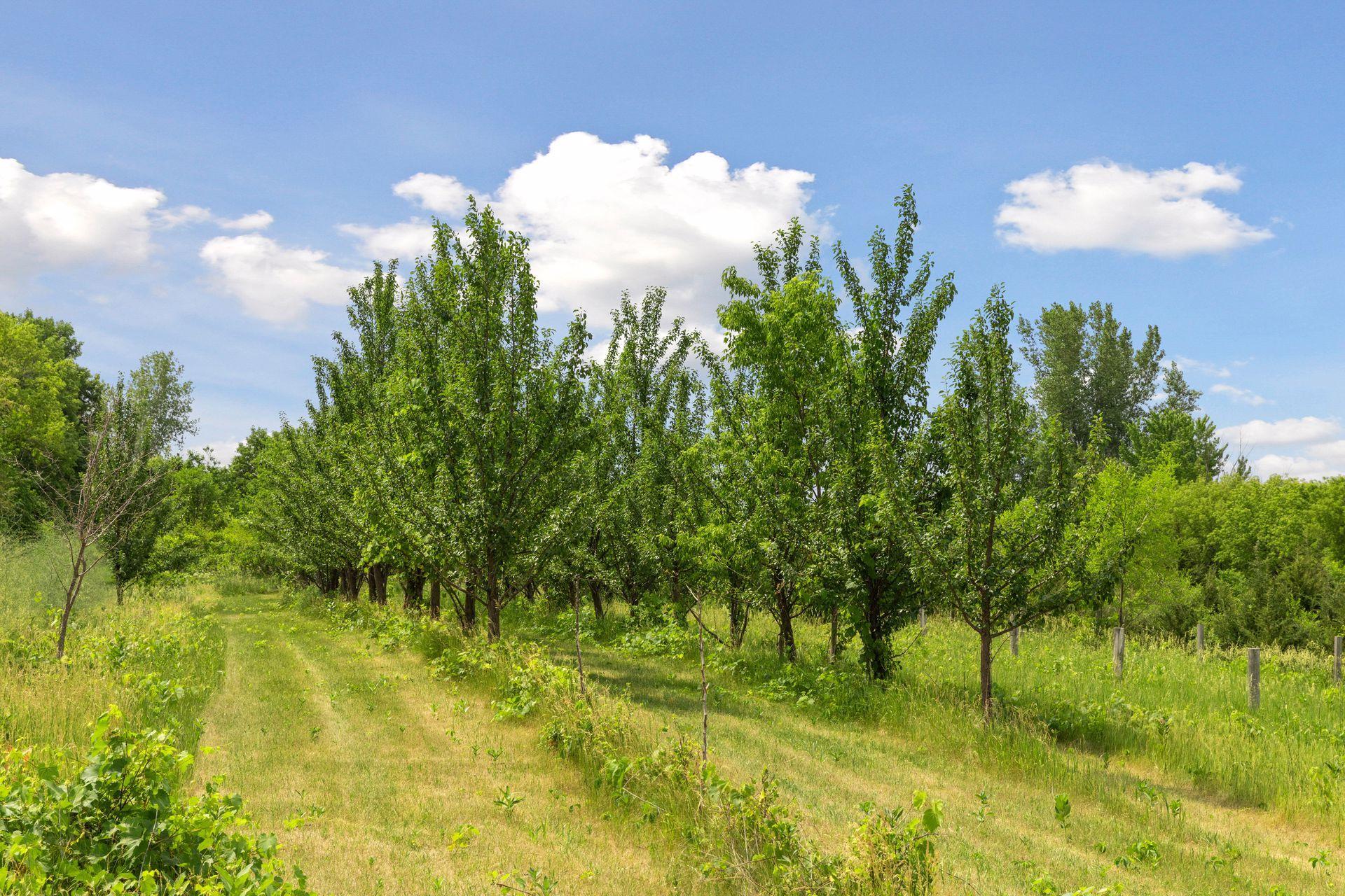 5412 Brighton Avenue SE