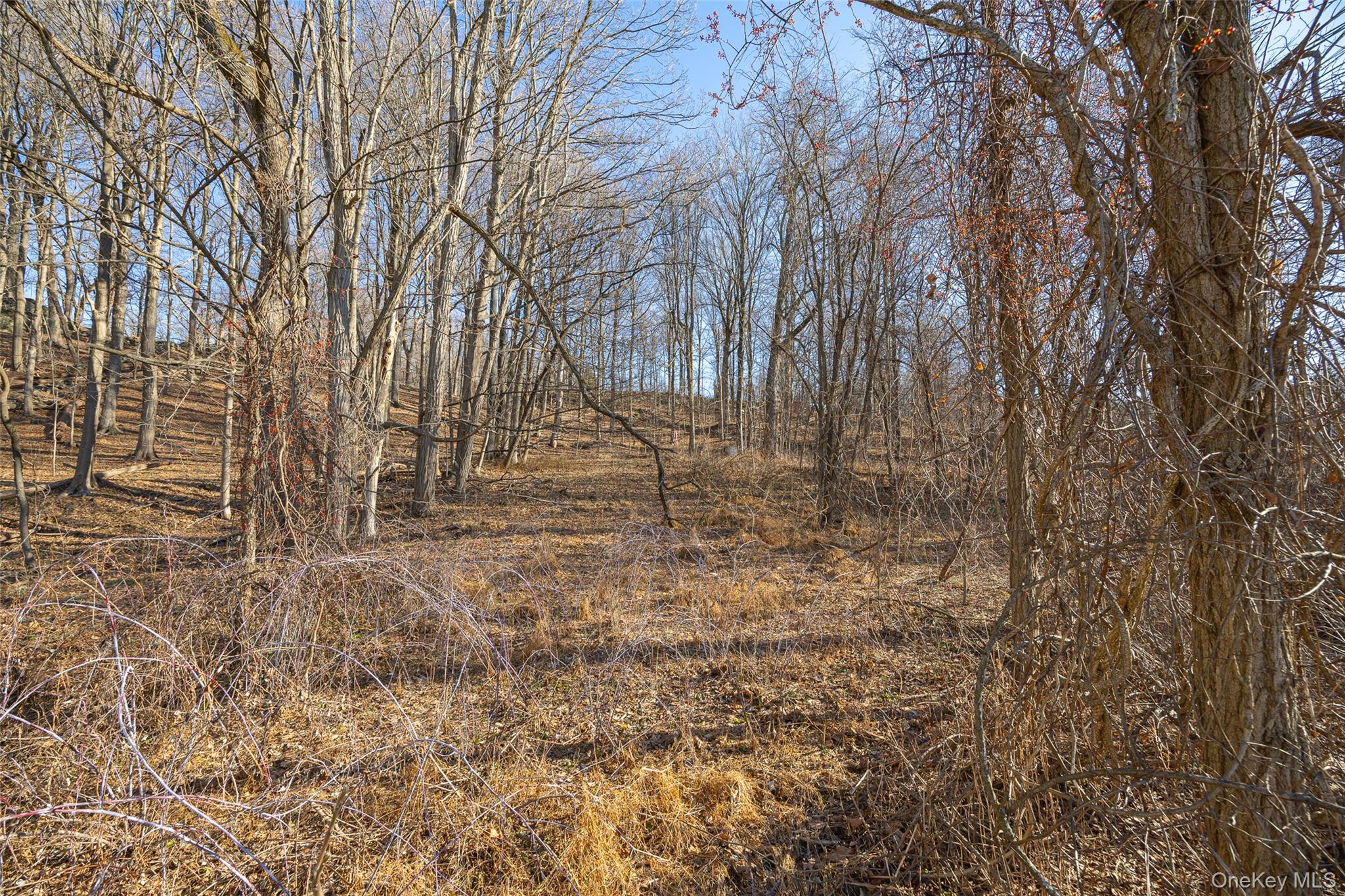 74 Old Albany Post Road