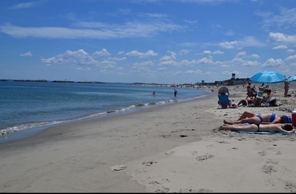 187 Winthrop Shore Dr Unit: 3
