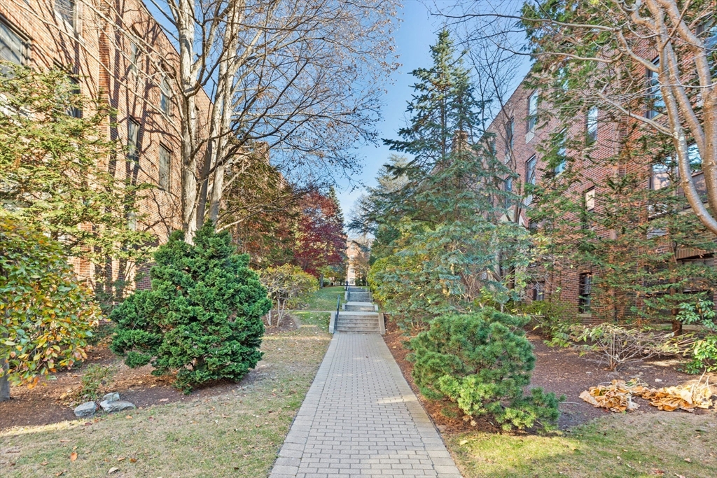 325 Tappan Street # 4