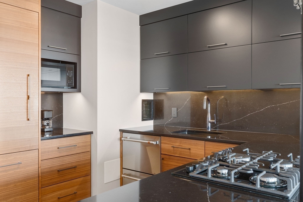 85 E India Row # 38H