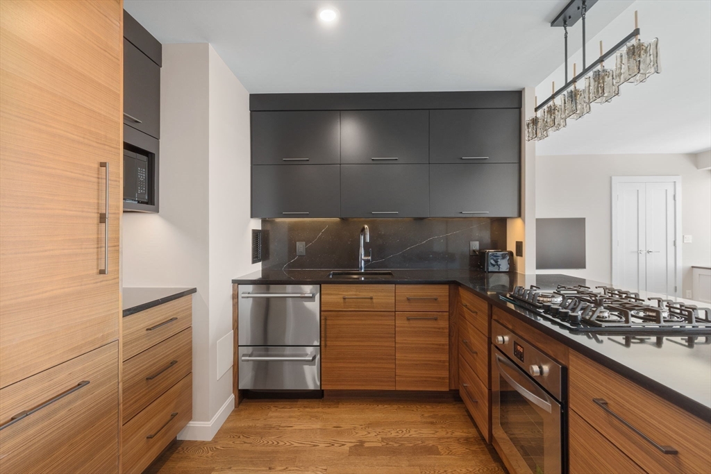 85 E India Row # 38H