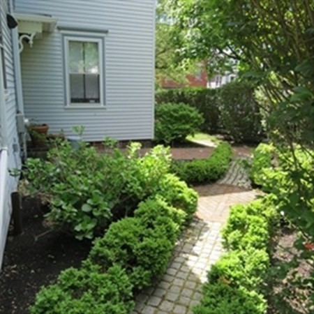 984 Chestnut # 2