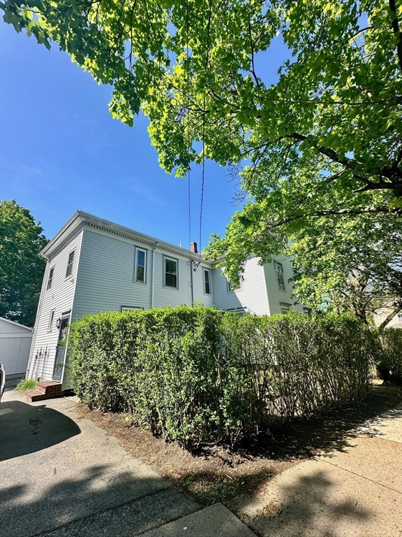 984 Chestnut # 2