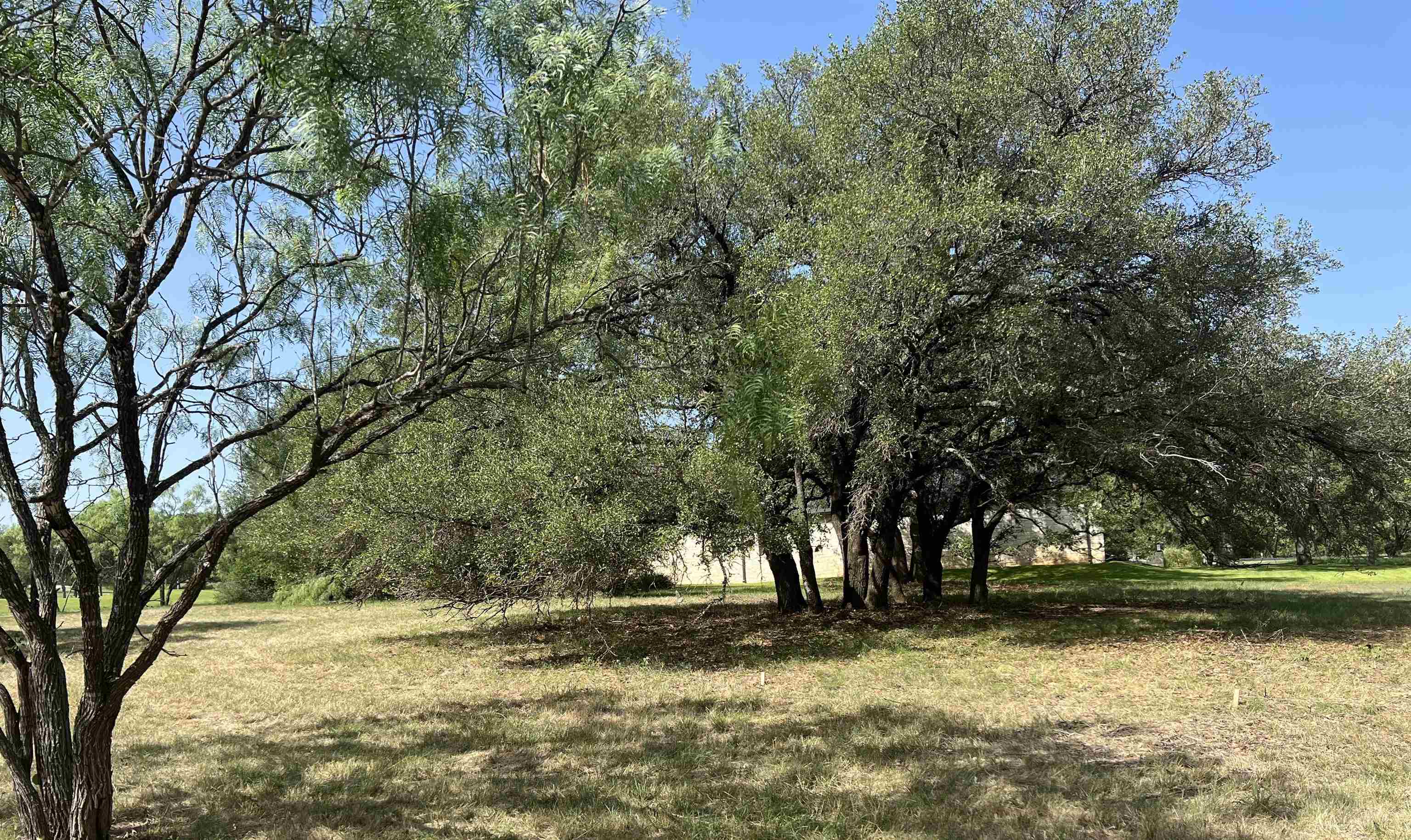 2108 Fault Line Drive