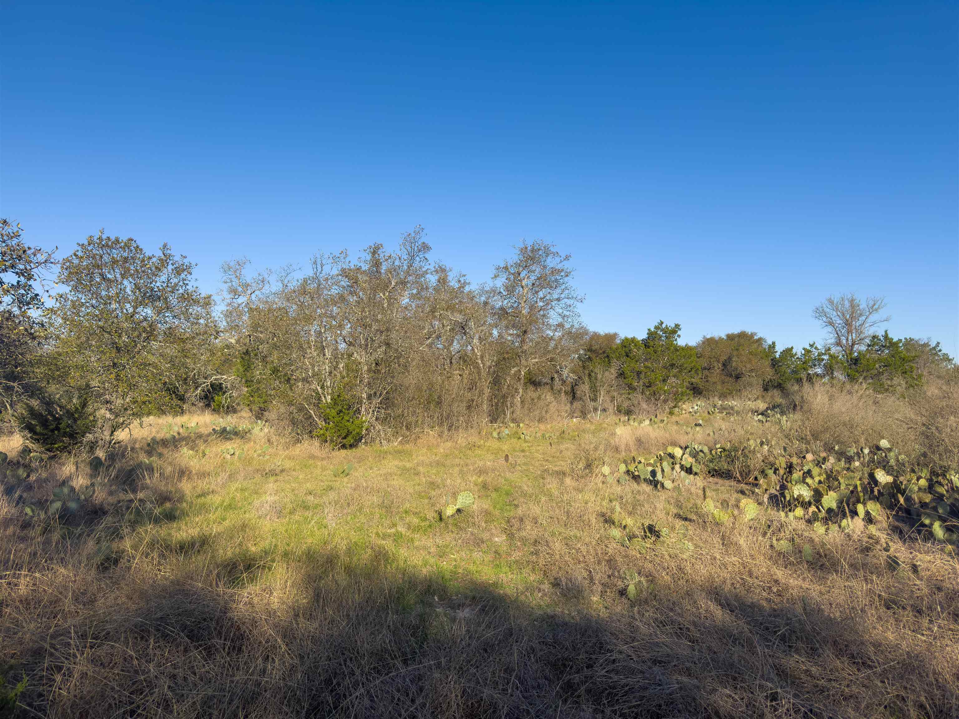 Lot 196 Marble Falls Court