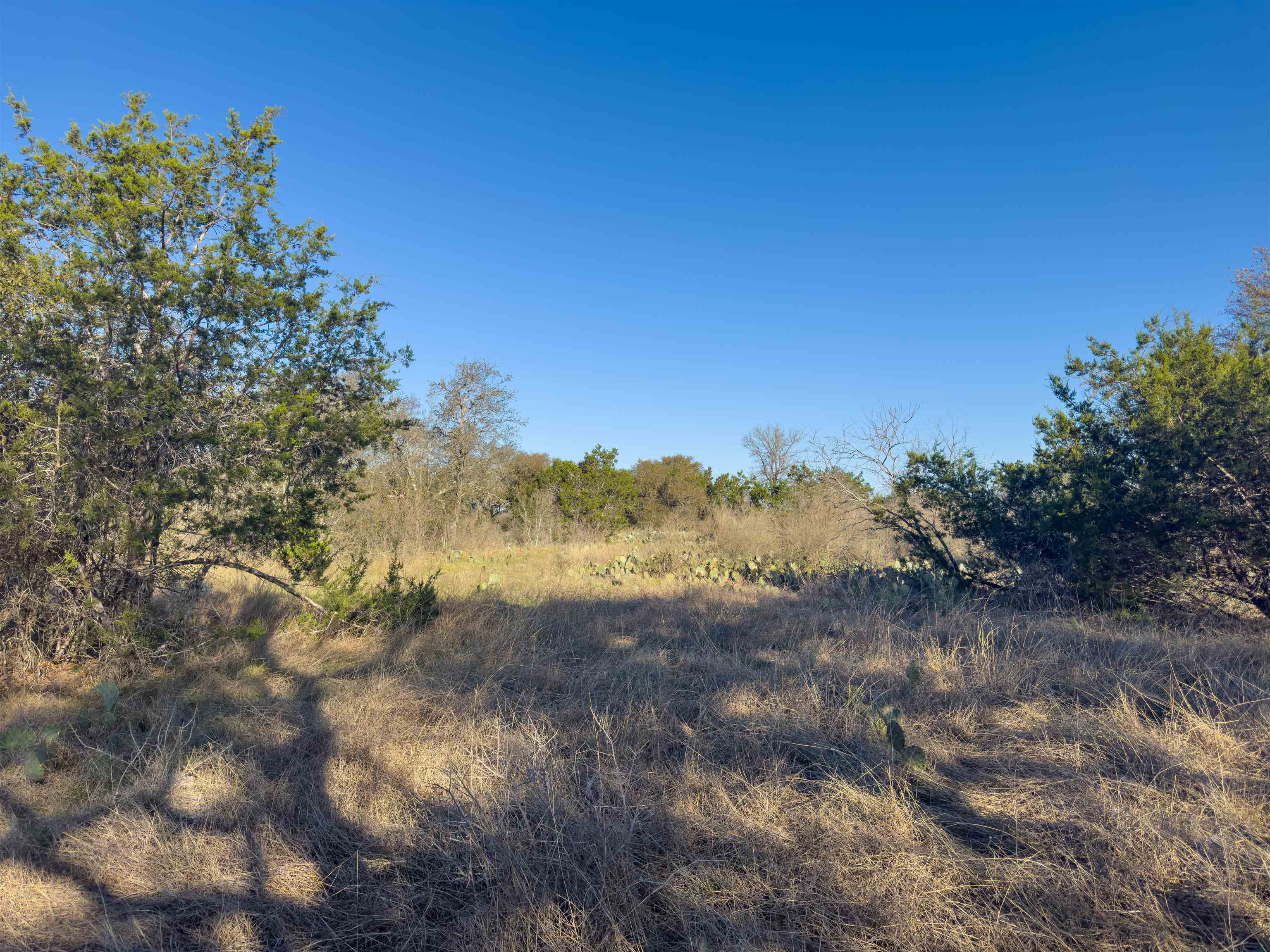 Lot 196 Marble Falls Court