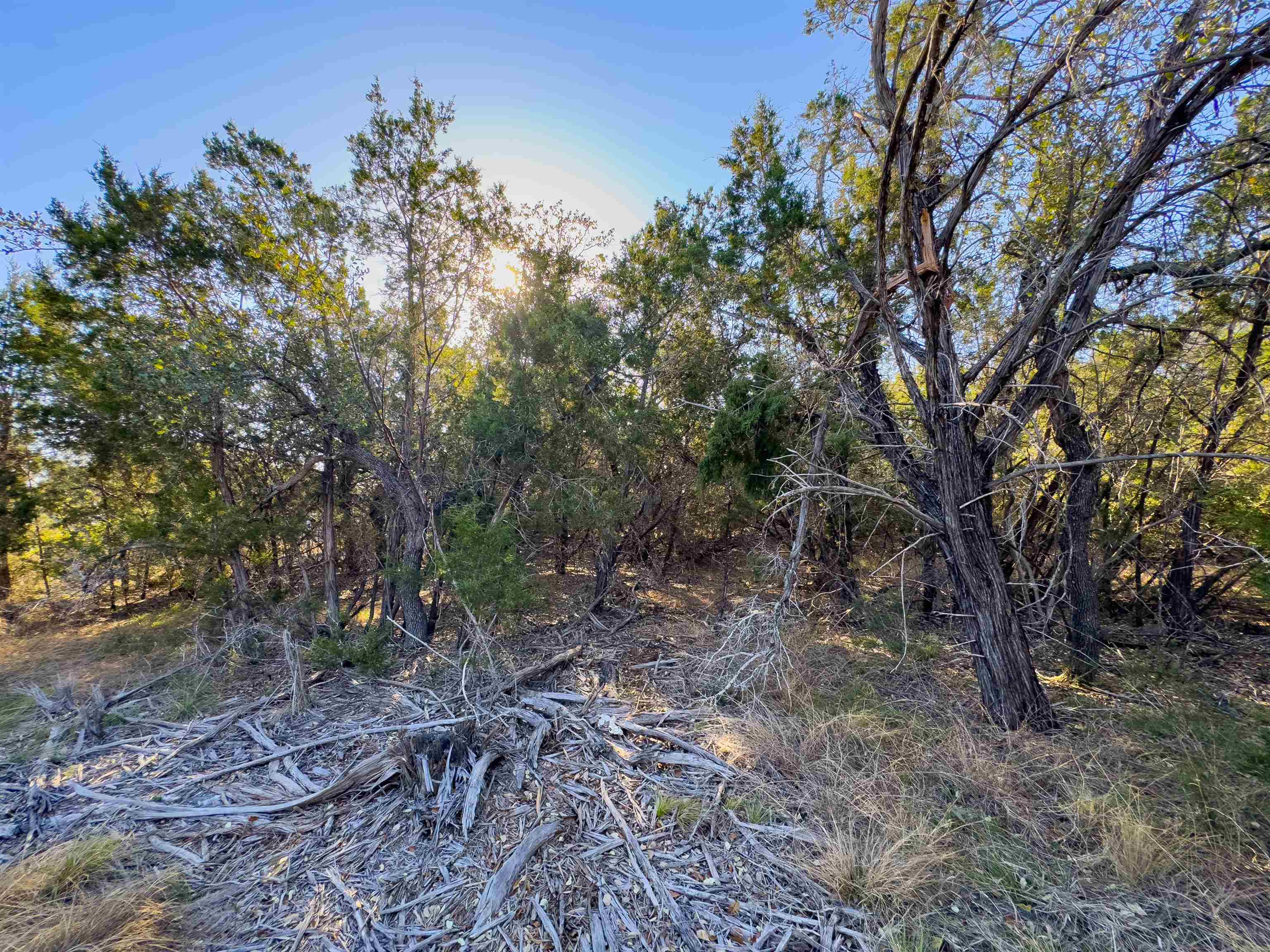 Lot 44 Mountain Laurel Lane