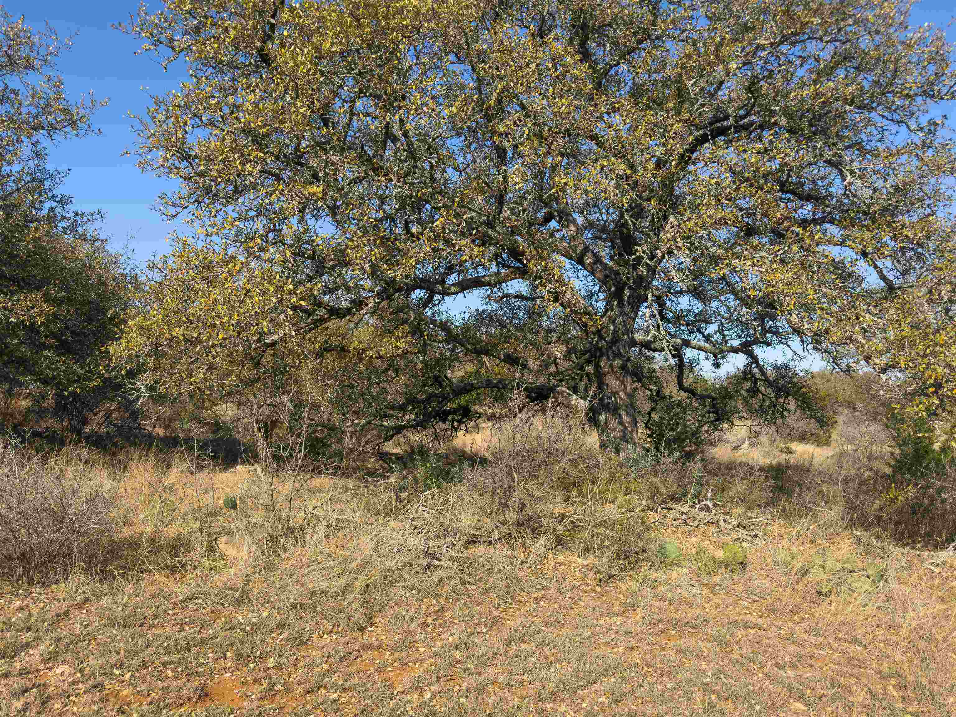 Lot 20 Comanche Ridge