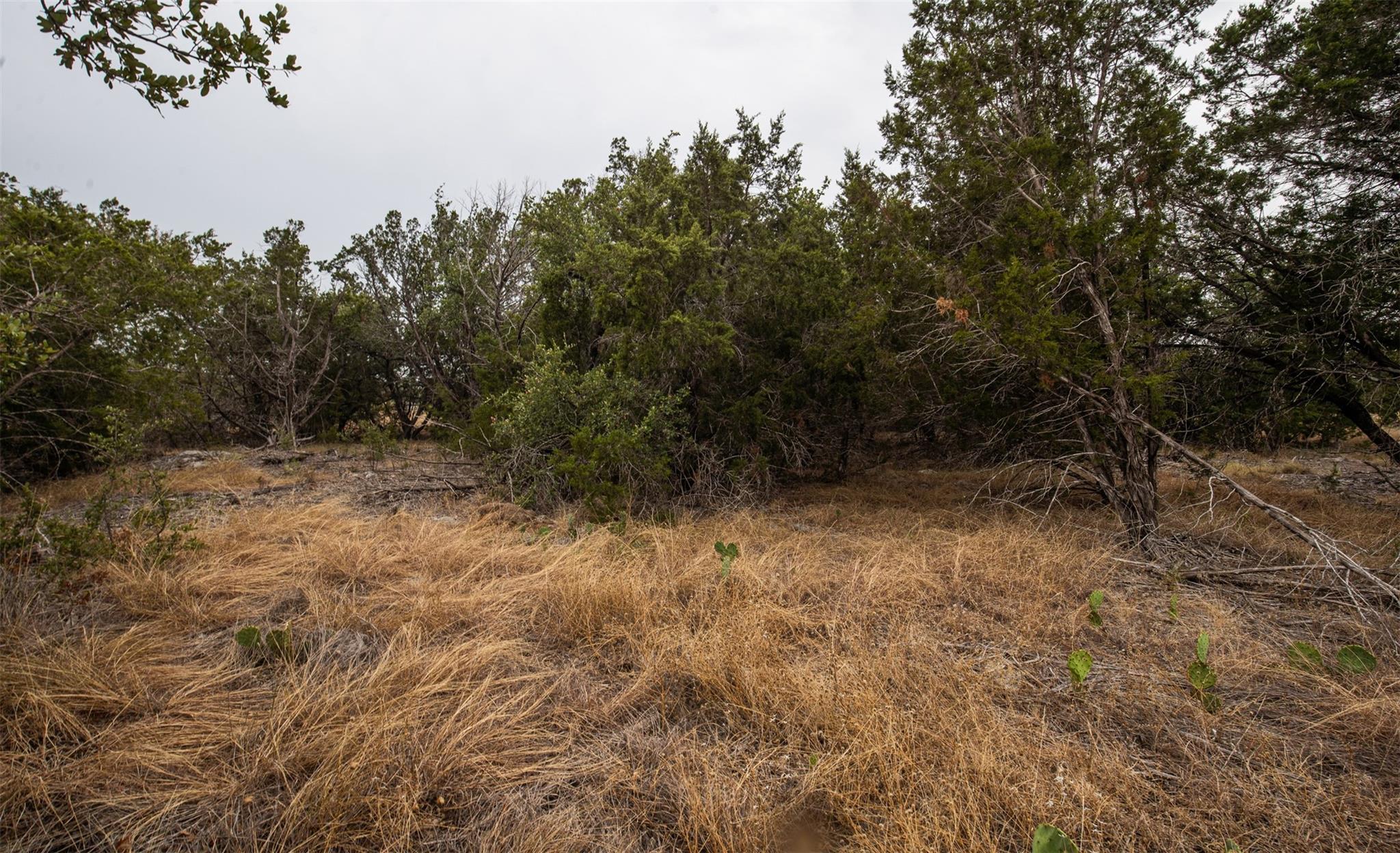 Lot 44 Mountain Laurel LN