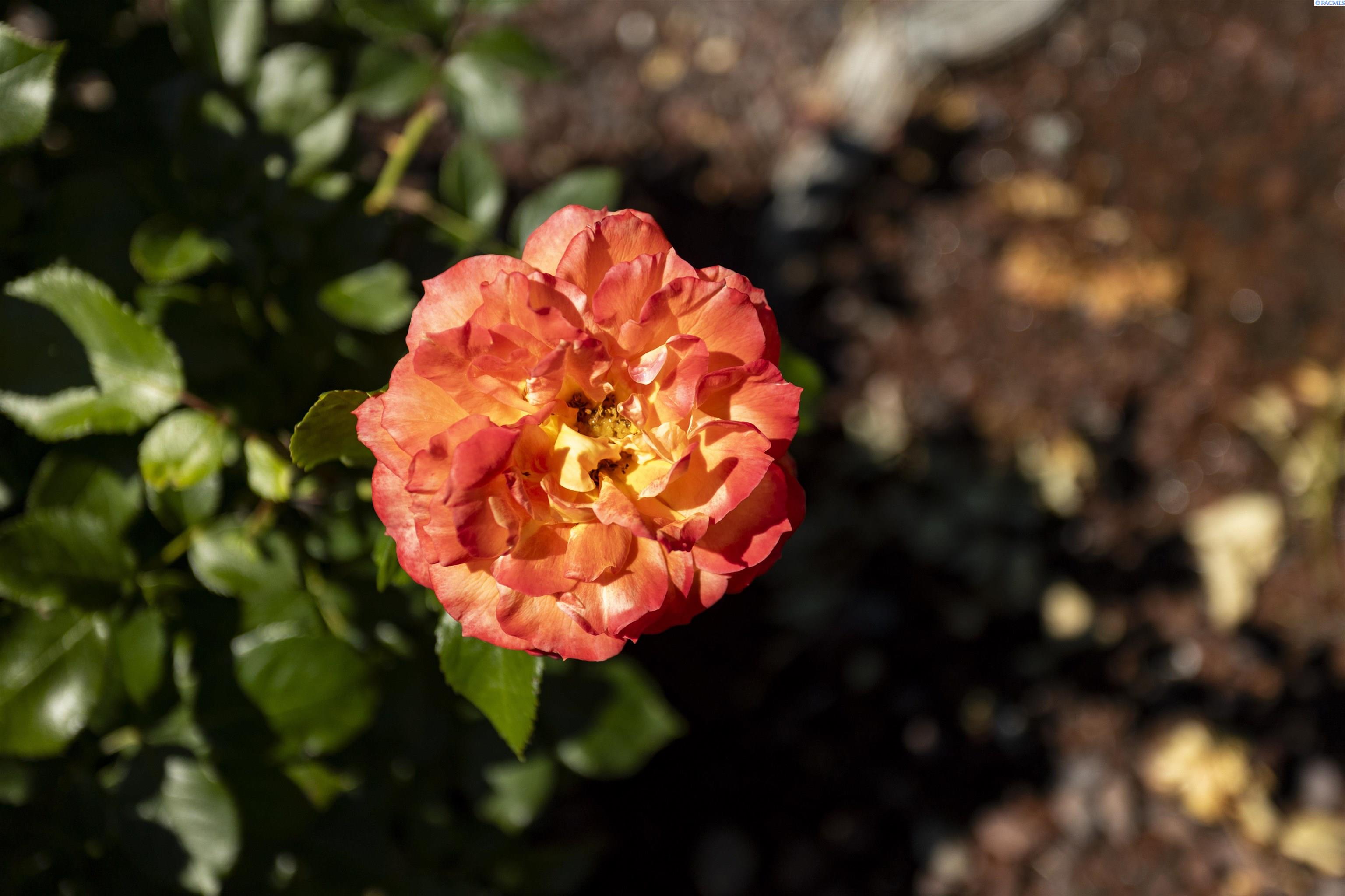 300 Columbia Point Dr #b-116 # 116 Unit: B-116