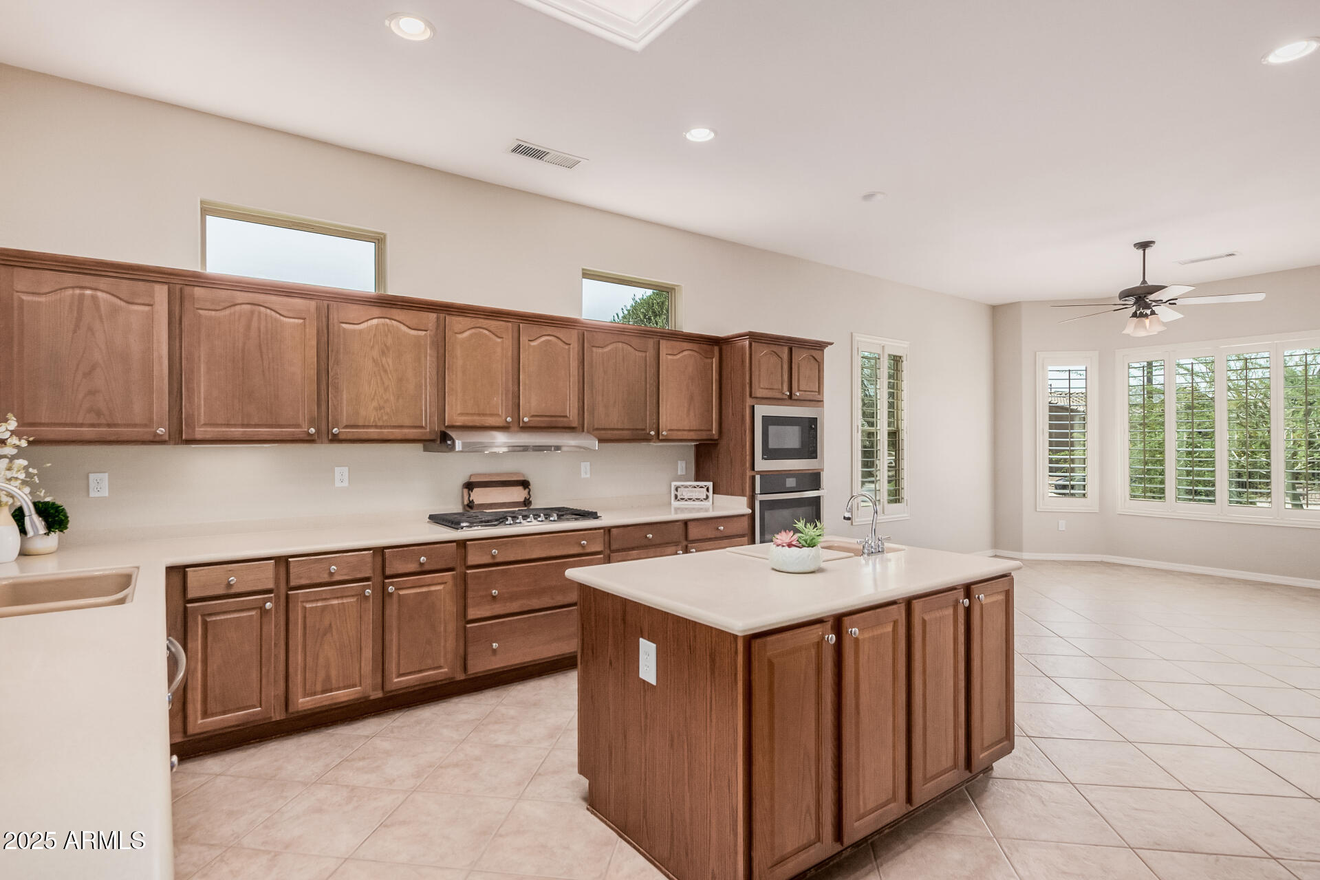 16704 W ORACLE RIM Drive
