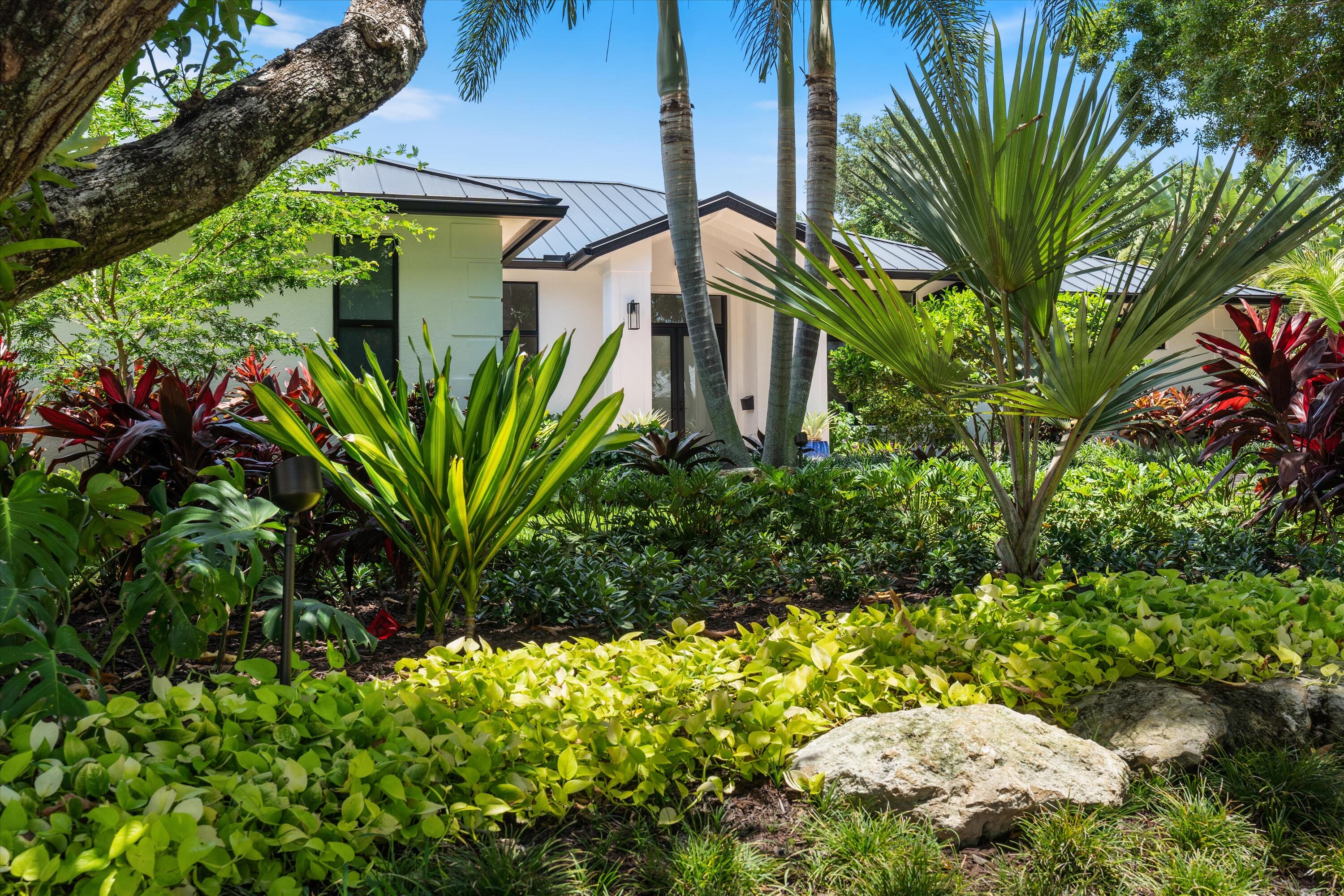 Modern white home with a metal roof framed by lush tropical landscaping and palm trees.