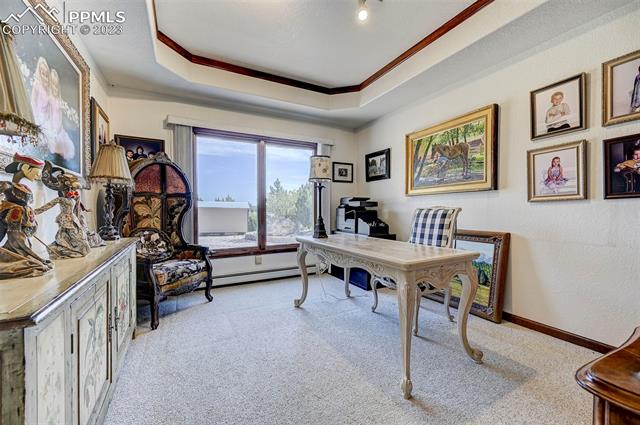 1421 W Carrizo Springs Lane