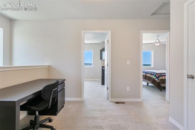 7407 Rufous Fronted View