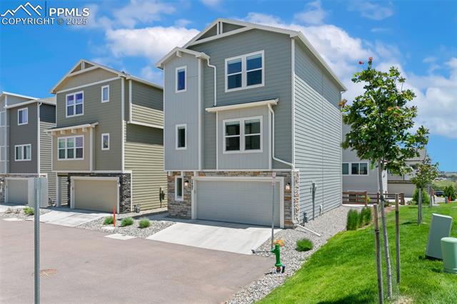 7407 Rufous Fronted View