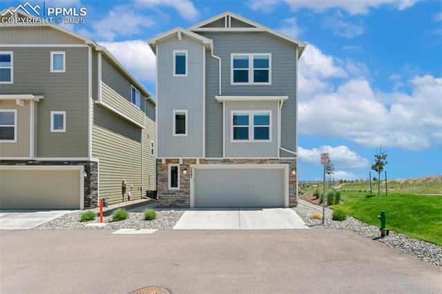 7407 Rufous Fronted View