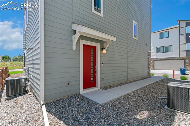 7407 Rufous Fronted View