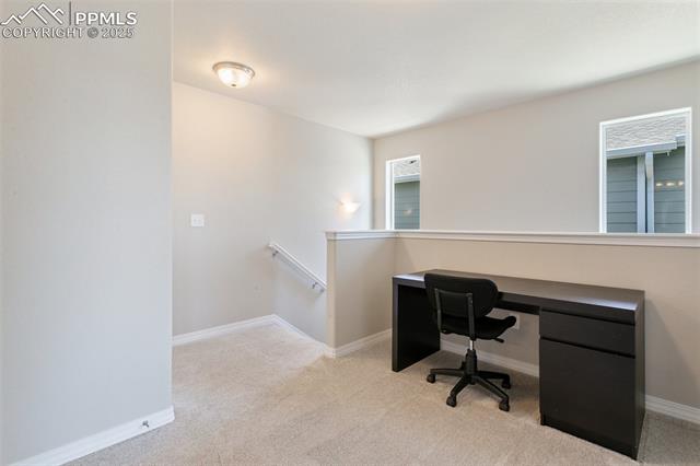 7407 Rufous Fronted View