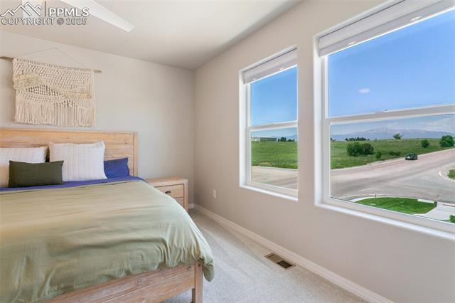 7407 Rufous Fronted View