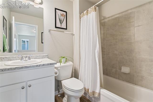 7407 Rufous Fronted View