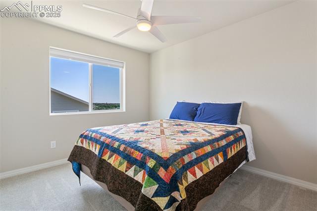 7407 Rufous Fronted View