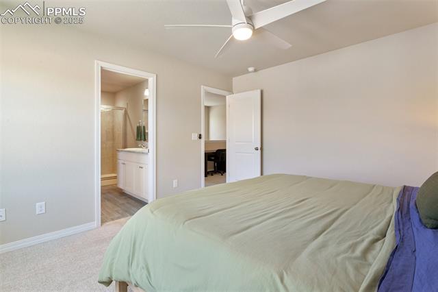 7407 Rufous Fronted View