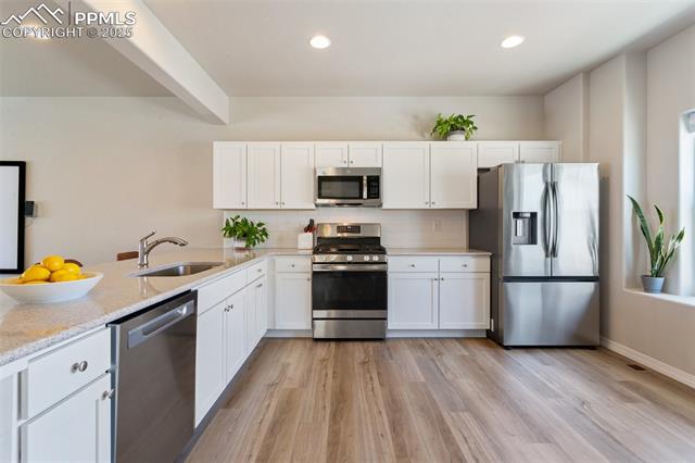 7407 Rufous Fronted View