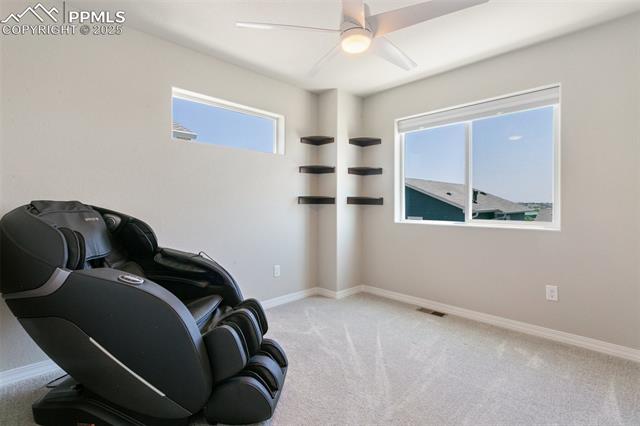 7407 Rufous Fronted View