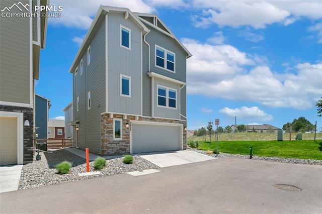 7407 Rufous Fronted View