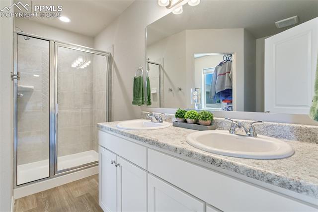 7407 Rufous Fronted View