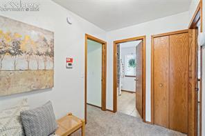 4525 Eileen Court