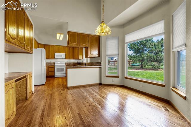 14185 Candlewood Court