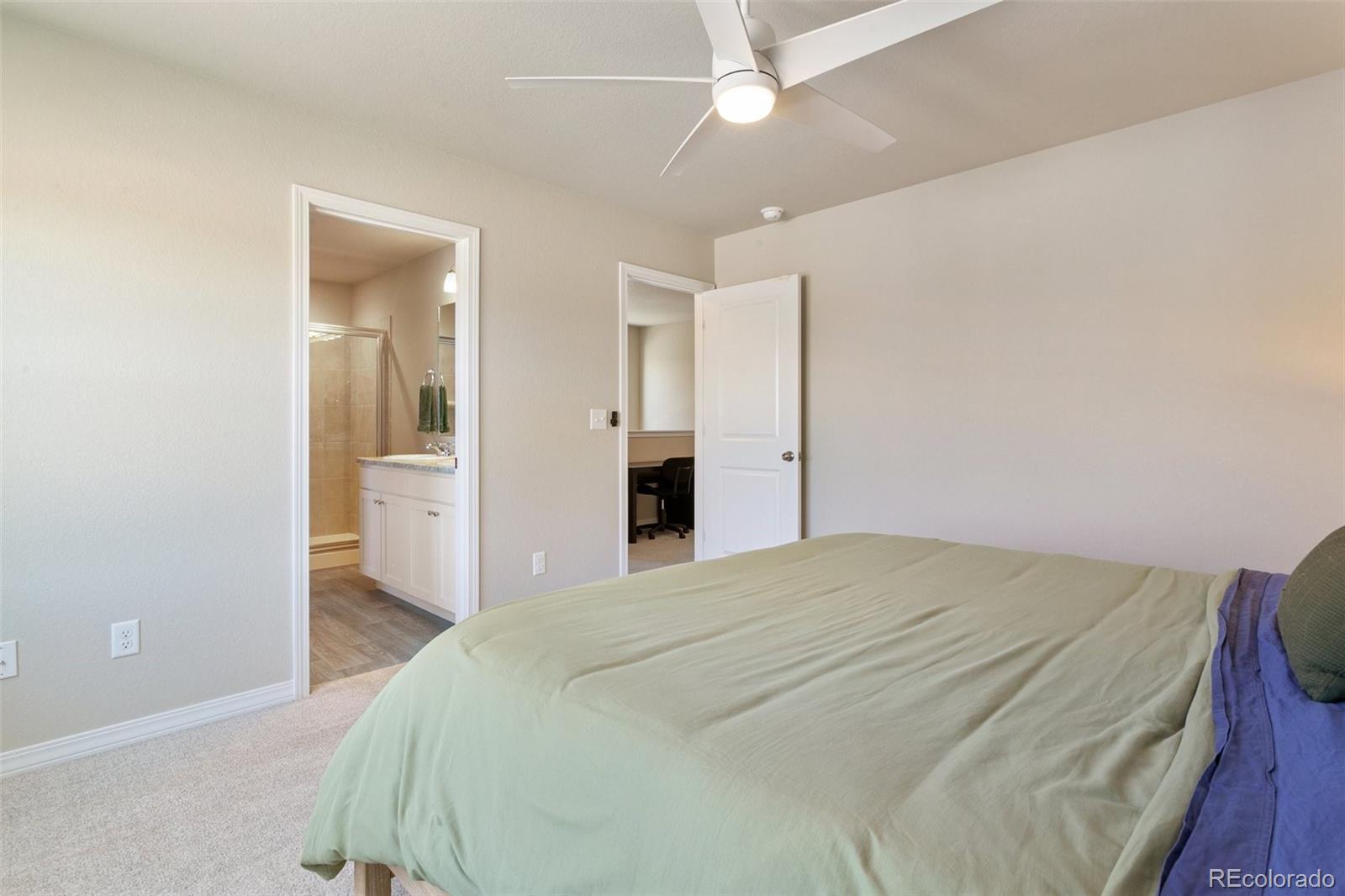 7407 Rufous Fronted View