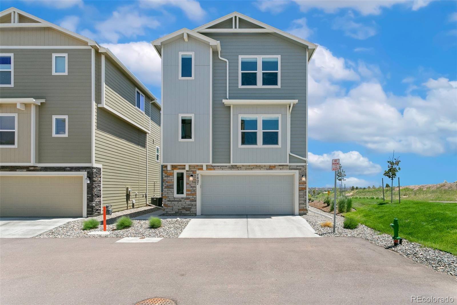 7407 Rufous Fronted View