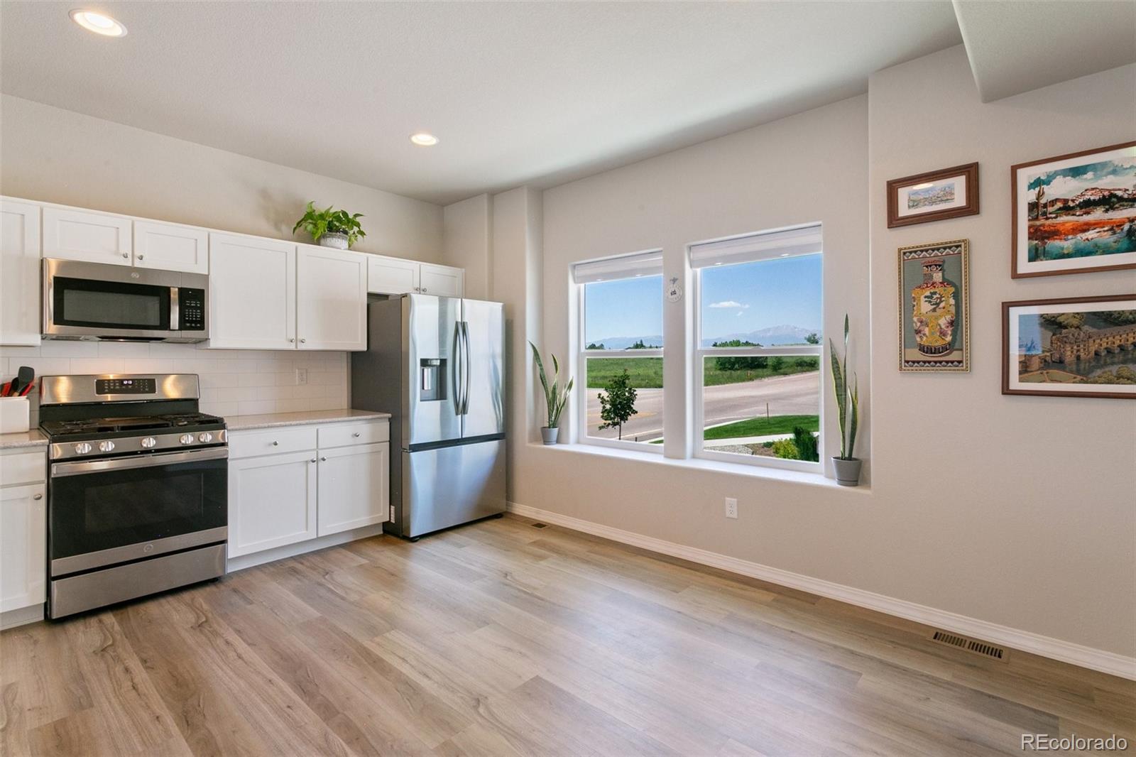 7407 Rufous Fronted View