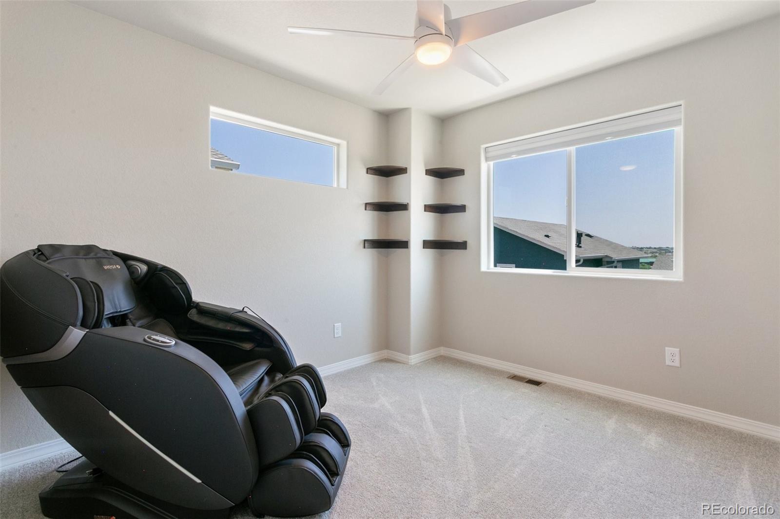 7407 Rufous Fronted View