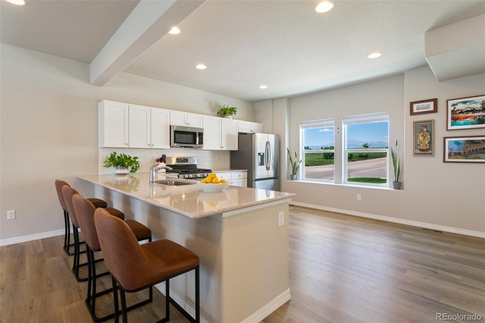 7407 Rufous Fronted View