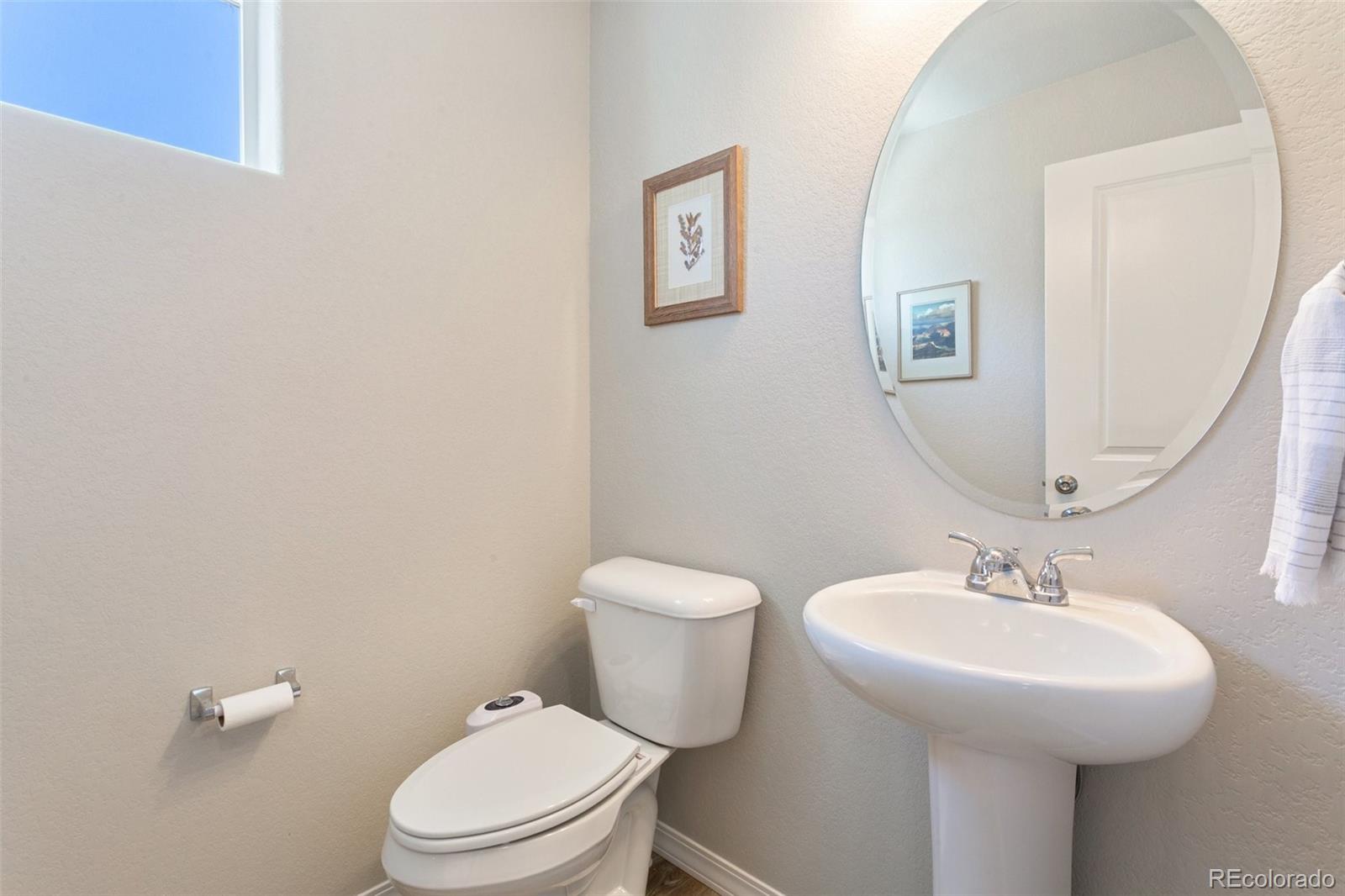 7407 Rufous Fronted View