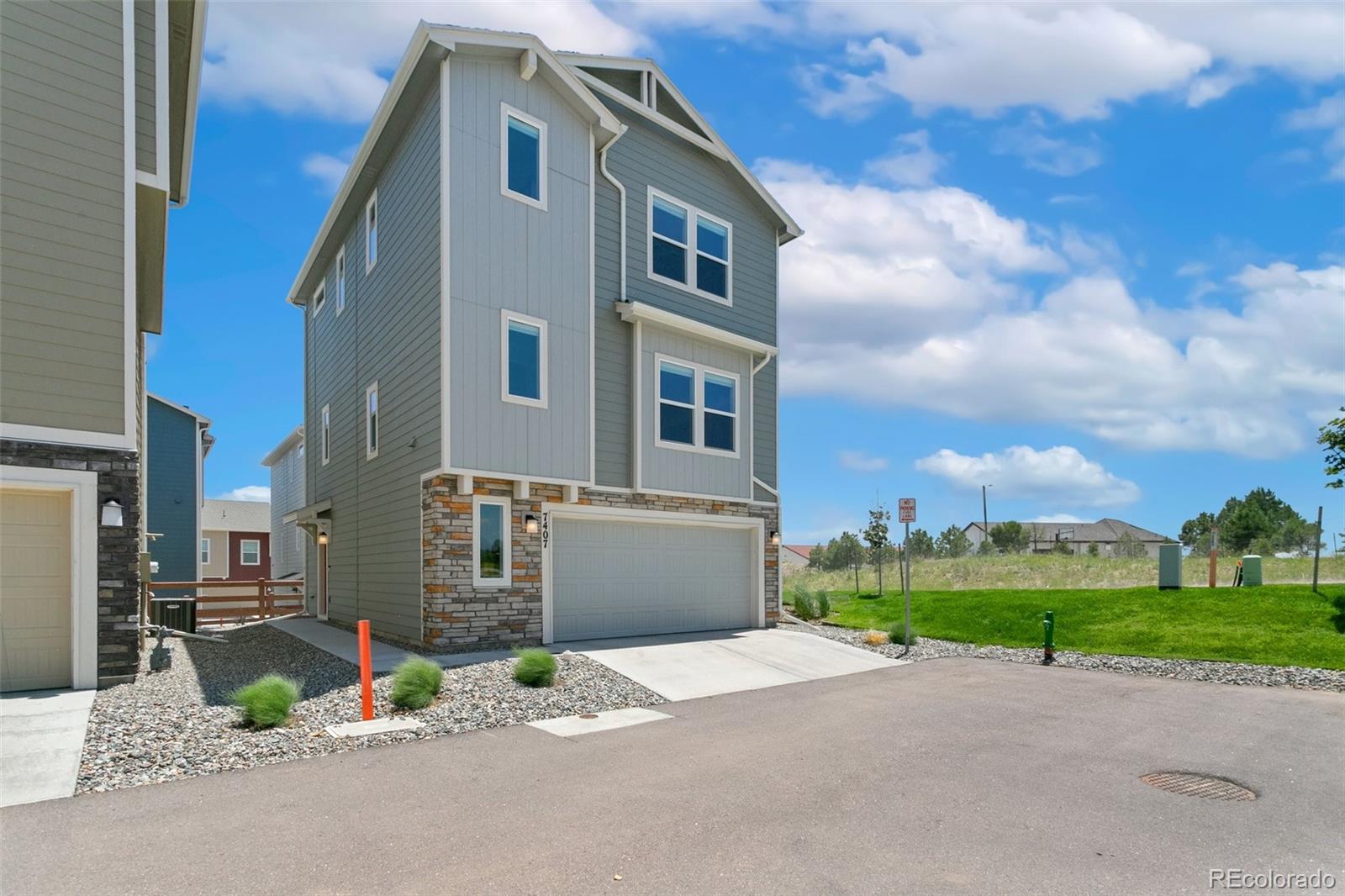 7407 Rufous Fronted View