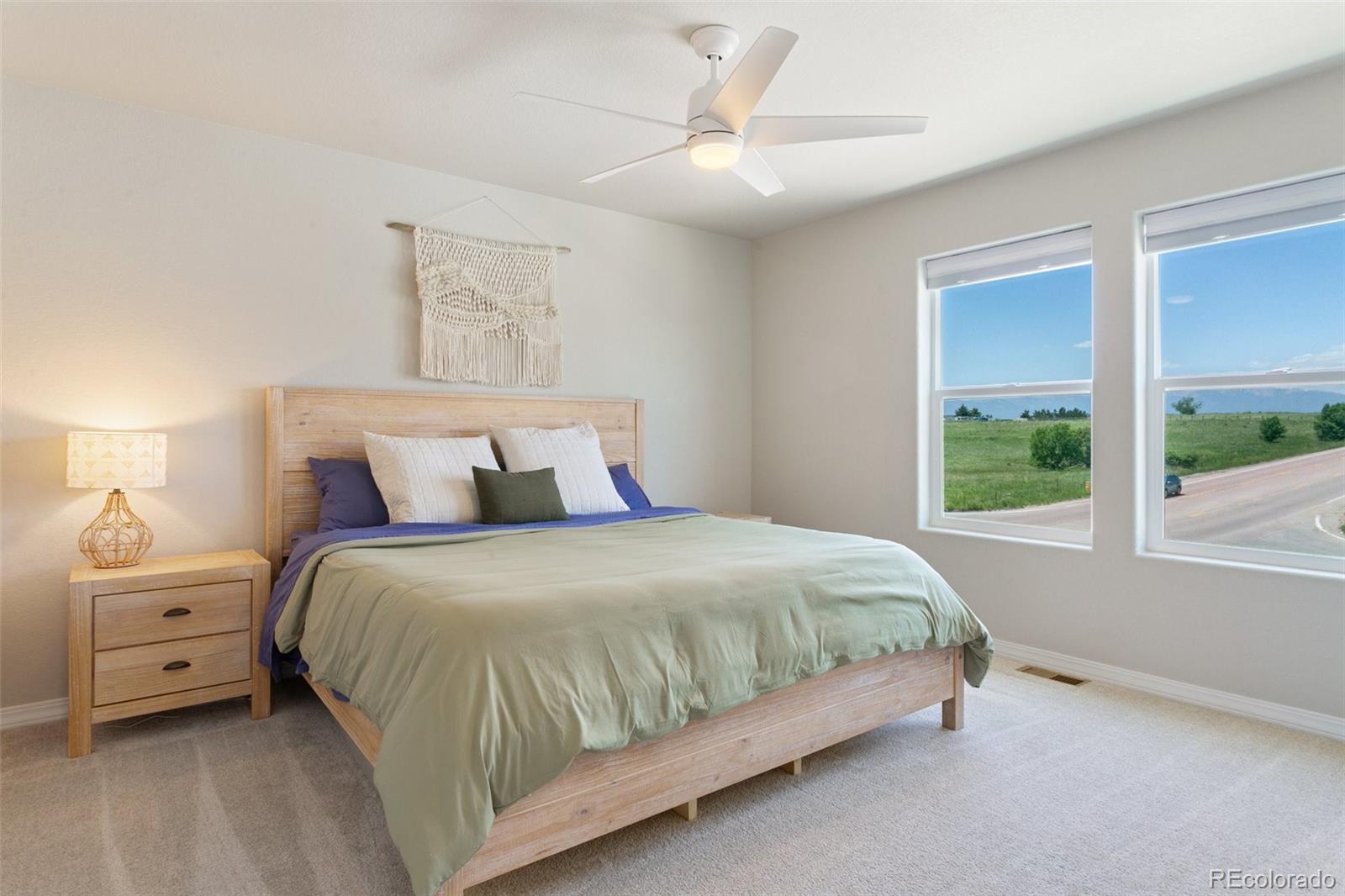 7407 Rufous Fronted View