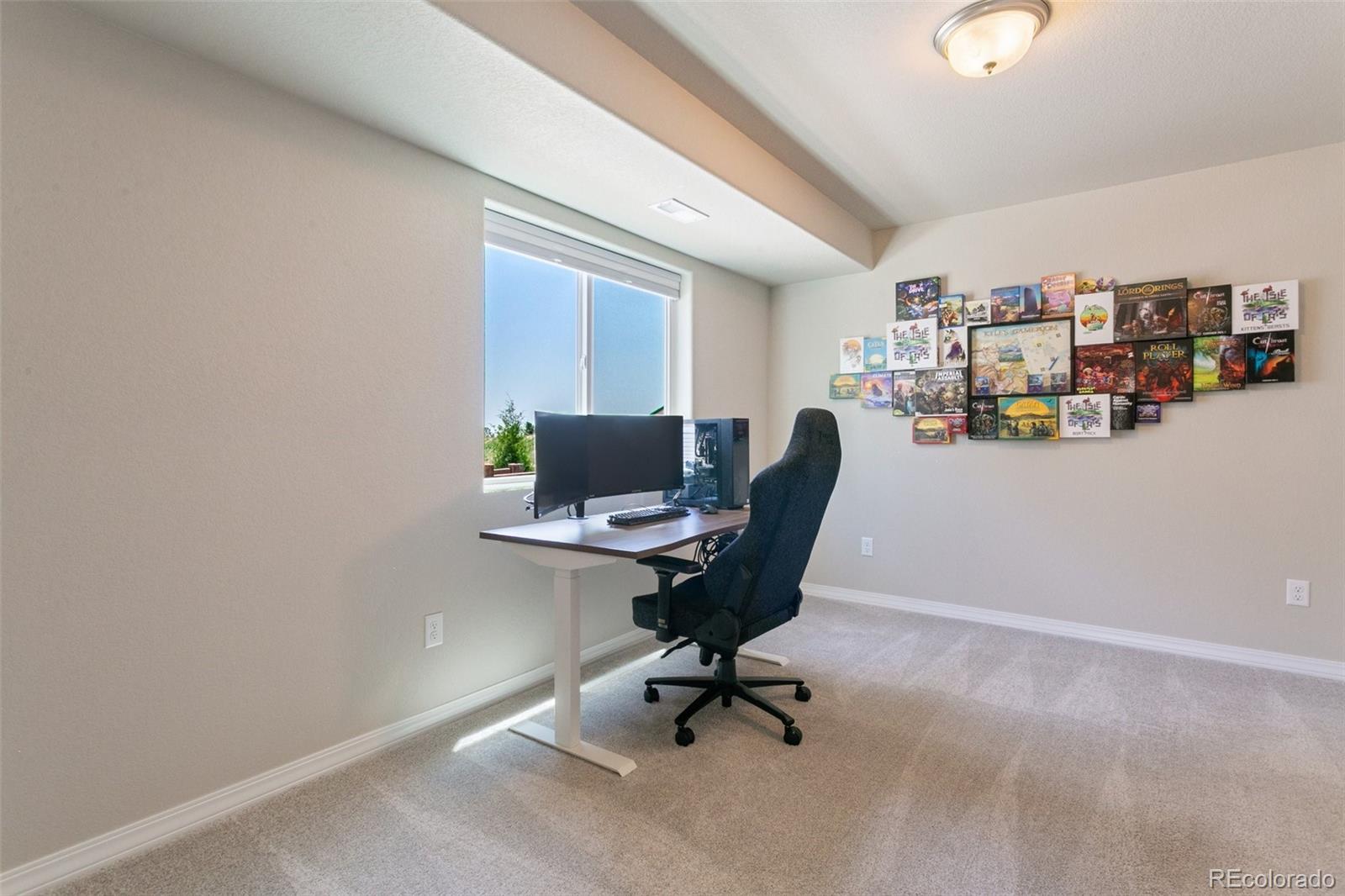 7407 Rufous Fronted View